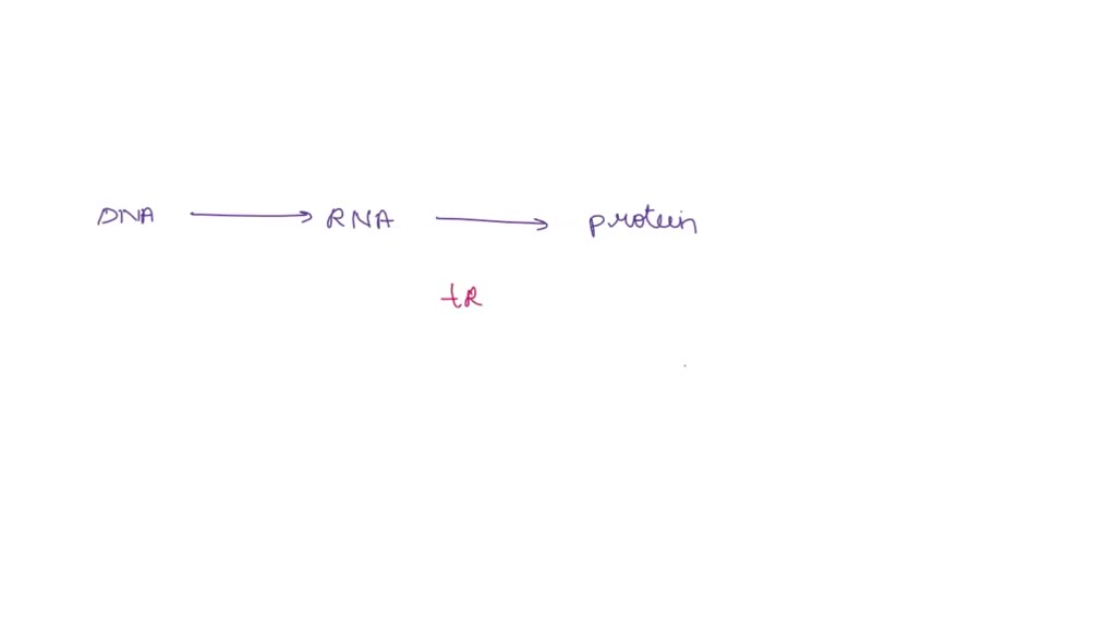 SOLVED Living cells synthesize long chains of amino acids called