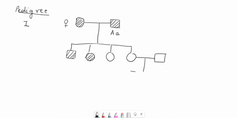 autosomal-dominant-pedigrees-key-affected-affected-affected-one-allele-unknown-aa-unaffected-autosomel-dominant-disorders-affected-children-will-usually-have-an-affected-parent-heterozygotes-62144