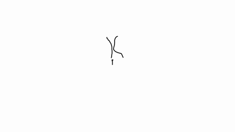 homologous-chromosomes-o-include-only-the-autosomes-are-a-set-of-chromosomes-that-the-cell-received-from-one-parent-carry-the-same-genes-o-separate-during-interphase-o-include-only-the-sex-chromosomes