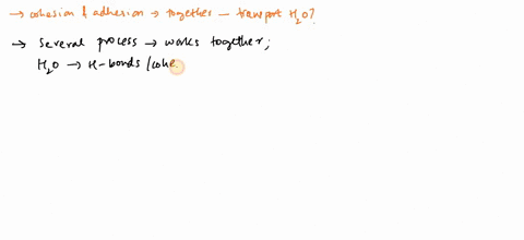 how-do-cohesion-and-adhesion-work-together-to-allow-plants-to-transport-water-against-gravity-79452