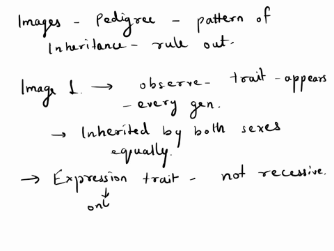 what-pattern-of-inheritance-can-you-rule-out-autosomal-dominant-autosomal-recessive-x-linked-dominant-x-linked-recessive-nt-will-what-pattern-of-inheritance-can-you-rule-out-autosomal-domina-65826
