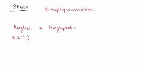 28-starch-is-an-example-of-ut-ot-select-one-uestion-monosaccharides-disaccharides-polysaccharides-01783