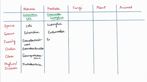 key-question-5-taxonomy-is-used-to-identify-all-biological-organisms-identify-one-commonly-known-organism-from-each-of-the-kingdoms-and-find-the-seven-taxa-level-name-for-that-organism-14-ma-98949