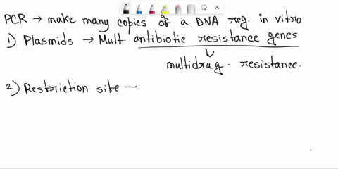 which-of-the-following-is-true-regarding-pcr-techniques-for-cloning-dna-recombinant-plasmids-do-not-contain-antibiotic-resistant-genes-the-restriction-sites-of-the-cloning-vector-and-dna-fra-80262