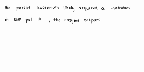 question-13-1-point-scientist-randomly-mutates-the-dna-of-bacterium-she-ihen-scquences-the-bacterium-daughter-cells-and-finds-that-the-daughters-have-many-errors-in-their-replicated-dna-the-72453