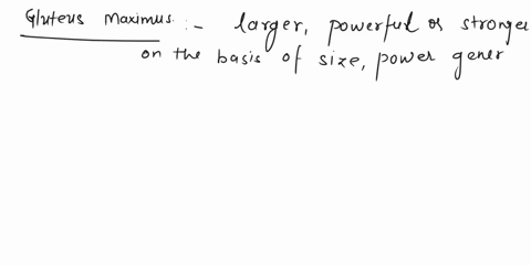 issa-corrective-exercise-cert-studying-help-22-for-what-primary-reason-is-the-gluteus-maximus-the-strongest-muscle-in-the-human-body-it-has-the-most-lower-motor-neurons-it-is-the-largest-mus-56542