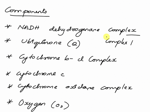 gnts-for-cell-respiration-follow-the-path-of-an-electron-by-numbering-the-following-if-electrous-do-not-go-t0-that-moleculelprotein-then-write-an-x-instead-of-number-8-atp-nadh-cytochrome-ox-74588
