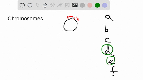 question-9-which-are-true-of-prokaryotic-and-eukaryotic-chromosomes-eukaryotes-chromosomes-have-multiple-origins-of-replication-per-chromosome-prokaryotic-dna-colls-in-a-form-of-nucleosomes-87441