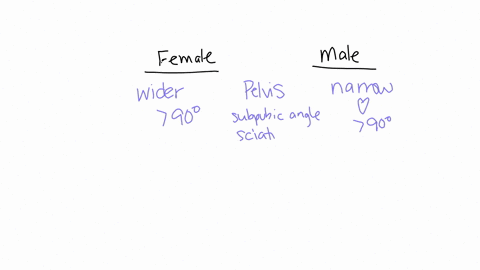 how-would-you-determine-the-skeletal-remains-of-a-male-and-female-49627