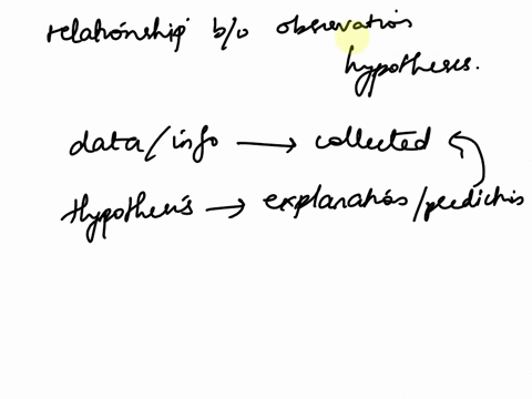explain-the-relationship-between-observations-and-hypotheses-22507