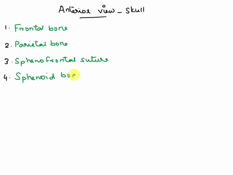 136-exercise9axial-skeleton-d-skull-bones-and-bone-markings-identify-the-boncs-and-bone-markings-in-figre-925andb-bone1-9-suture-bone-2-suture-3-bone-4-bone5-10bone-11bone-2-bone-bone-14-bon-16845