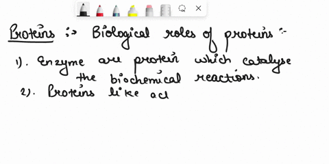 lj-marks-question4-the-physical-structure-of-a-protein-often-reflects-and-affects-its-function-list-four-biological-roles-of-proteins-marks-describe-the-primary-secondary-and-tertiary-struct-91965
