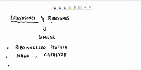 in-what-ways-are-spliceosomes-and-ribosomes-similar-in-what-ways-are-they-different-can-you-suggest-some-possible-reasons-for-their-similarities-41969