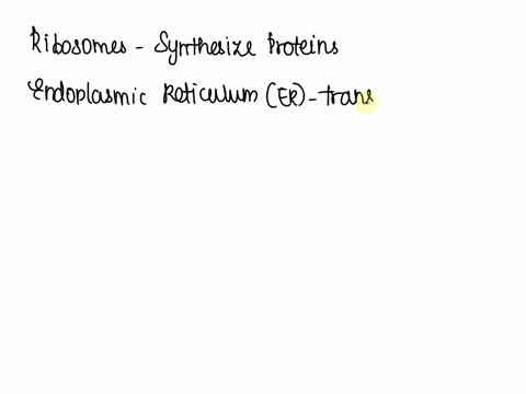 a-golgi-complexribosome-makes-proteins-that-are-transported-through-the-endoplasmic-reticulum-51092