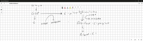 can-you-please-pick-the-right-answer-in-each-parentheses-the-pentose-phosphate-pathway-provides-a-number-of-critical-functions-including-production-of-ribose-5-phosphate-production-of-nadh-t-10254