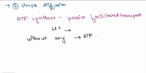 when-hydrogen-protons-move-through-atp-synthase-what-type-of-transport-is-observed-bulk-transport-simple-diffusion-facilitated-diffusion-active-transport-05333