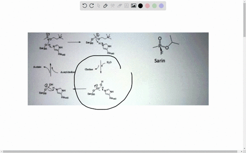 enzyme-inhibitors-can-be-used-for-good-as-in-medical-drugs-or-harm-as-in-the-nerve-gas-sarin-acetylcholine-esterase-is-an-enzyme-that-is-critical-for-the-function-of-neurotransmitters_but-is-95269