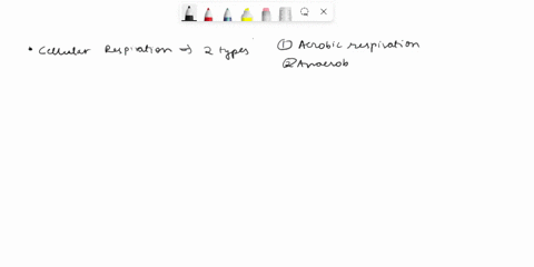 true-or-false-cellular-respiration-is-carried-on-without-oxygen-this-is-called-carbonation-75414