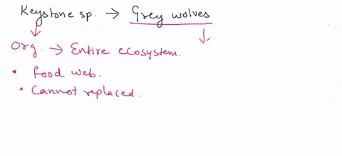 a-trophic-cascade-such-as-that-occurring-with-grey-wolves-in-yellowstone-national-park-is-best-understood-as-an-interaction-between-species-in-which-aa-keystone-species-influences-the-entire-44368