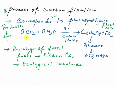 what-is-carbon-fixation-in-which-stage-of-photosynthesis-does-it-happen-how-is-it-significant-at-the-biosphere-level-what-is-its-connection-which-global-climate-19103