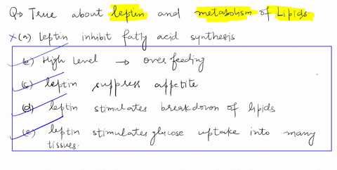 which-of-the-following-statements-relating-to-leptin-and-the-metabolism-of-lipids-is-correct-select-all-that-apply-leptin-inhibits-fatty-acid-production-high-levels-of-leptin-are-interpreted-55169