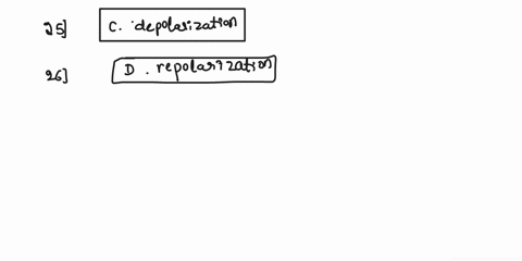 match-the-terms-to-changes-presentedassuming-a-resting-membrane-potential-of-70-mv-answers-may-be-used-oncemore-than-onceor-not-at-all-aelectrical-polarization-bhyperpolarization-cdepolariza-00279