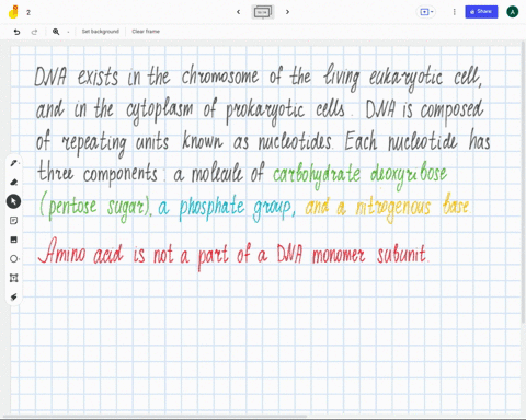 which-of-the-following-is-not-a-part-of-a-dna-monomer-subunit-a-phosphate-group-b-nitrogenous-base-amino-acid-d-pentose-sugar-37922