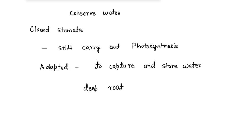 SOLVED Stomata remain closed in desert plants during day time how does