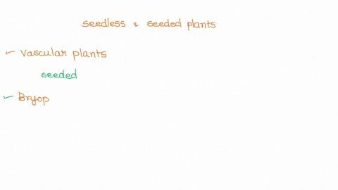 match-the-characteristics-below-to-either-seedless-or-seed-plants-________vascular-plants-only-________bryophytes-and-pteridophytes-________reproduce-by-spores-________-gymnosperms-and-angio-06156