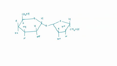 19-whkh-compound-is-not-reducng-sugar-fruciosa-glucose-glyceraldehyde-rbose-sucrose-20-which-amino-acid-is-not-capable-using-its-side-chain-r-group-t0-participate-goneral-acid-base-catalysis-96427
