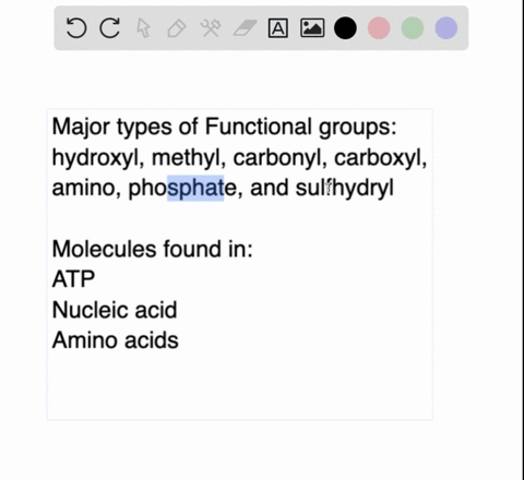 what-are-functional-groups-of-the-major-types-found-in-biology-name-and-include-an-example-of-a-molecule-in-which-ihey-are-found-26796