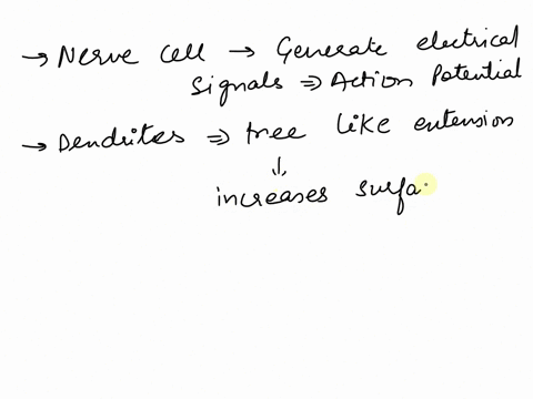 what-part-of-a-neuron-receives-signals-and-sends-a-message-to-the-cell-body-what-part-of-a-neuron-receives-signals-and-sends-a-message-to-the-cell-body-axon-terminal-axon-dendrite-axon-hillo-96665