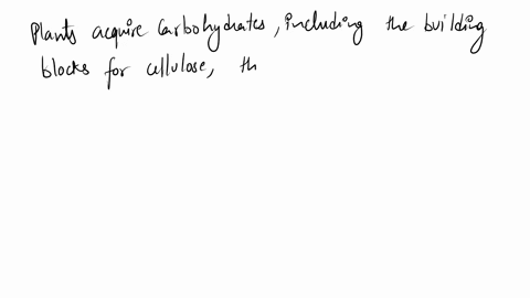 plants-use-carbohydrates-to-build-things-such-as-cellulose-how-do-plants-acquire-these-building-blocks-to-build-mass-97775