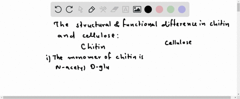 how-does-chitin-differ-from-cellulose-in-structure-and-function-87408