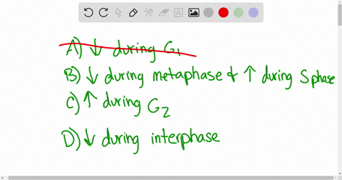 during-the-cell-cycle-the-dna-mass-of-a-cell-a-decreases-during-mathrmg_1-b-decreases-during-metapha-58783