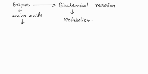 enzymes-what-are-enzymes-andwhat-is-their-function-what-type-of-macromolecule-are-most-enzymes-composed-of-substrate-enzyme-substrate-complex-transition-state-enetgy-of-activation-or-activat-51962