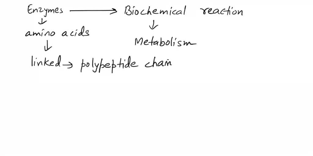 SOLVED Are enzymes specific for the reactions they catalyze? Are