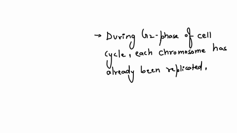 if-an-organism-has-a-diploid-chromosome-number-of-82n8-how-many-chromosomes-will-it-have-in-its-cell-after-g_2-phase-four-eight-sixteen-thirty-two-if-an-organism-has-a-diploid-chromosome-number-of-8-2