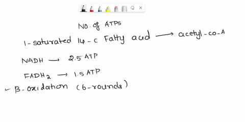 calculate-the-number-of-atp-generated-from-one-saturated-14-carbon-fatty-acid-assume-that-each-nadh-molecule-generates-25-atp-and-that-each-fadh2-molecule-generates-15-atp-95518