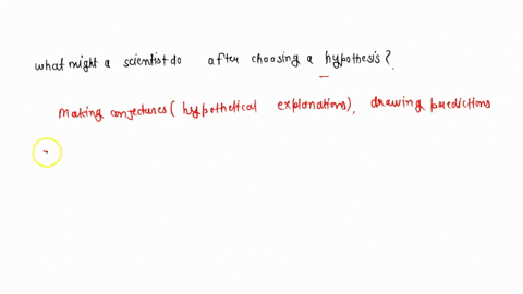 what-might-a-scientist-do-after-choosing-a-hypothesis-67502