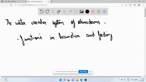 1-the-water-vascular-system-of-echinoderms-a-moves-water-through-the-animals-body-during-suspension-feeding-b-functions-as-a-circulatory-system-that-distributes-nutrients-to-body-cells-c-is-35573