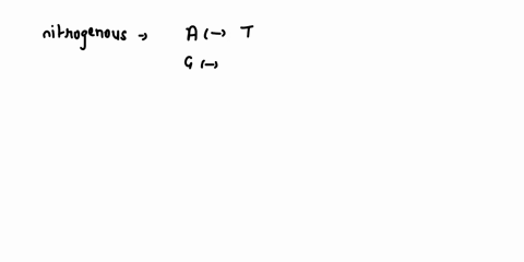 why-is-one-strand-of-the-dna-upside-down-77408