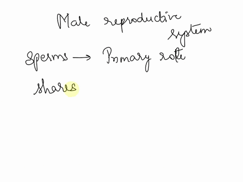 what-is-male-reproductive-system-explain-at-your-own-words-81956