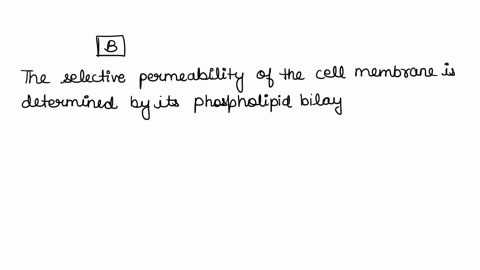 you-are-working-on-a-team-that-is-designing-a-new-drug-for-this-drug-to-work-it-must-enter-the-cytoplasm-of-specific-target-cells-which-of-the-following-would-be-a-factor-that-determines-whe-60346