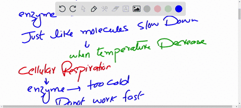 data-set_1-respiration-rate-and-activity_cont-why-would-there-be-decrease-in-respiration-rte-for-some-activities-explain-on-cellular-level-ext-explain-why-the-respiration-rate-for-running-wi-37737