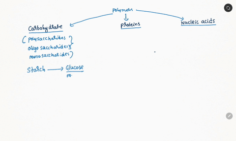 what-are-the-monomers-for-complex-carbohydrates-proteins-and-nucleic-acids-the-monomers-are-00254