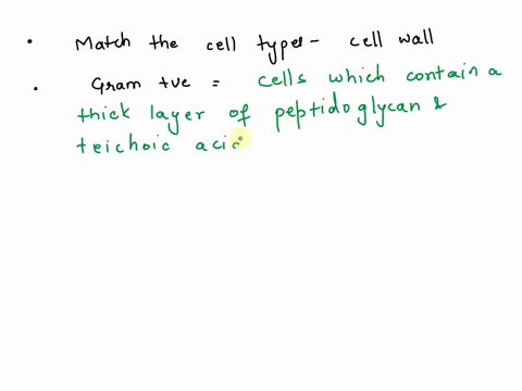please-atch-the-cell-types-with-the-statements-that-most-_-iree-cells-accurately-describe-them-to-test-your-understanding-of-cell-walls-and-wall-gram-positive-cells-click-to-select-gram-nega-51704