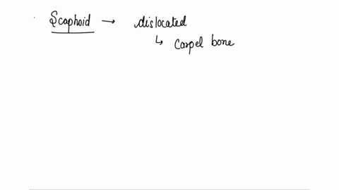 ______-1-scaphoid-a-the-most-commonly-dislocated-carpal-bone-______-2-lunate-b-a-tear-of-the-flexor-tendon-at-the-distal-phalanx-______-3-mallet-finger-c-located-in-the-anatomical-snuffbox-_-67284