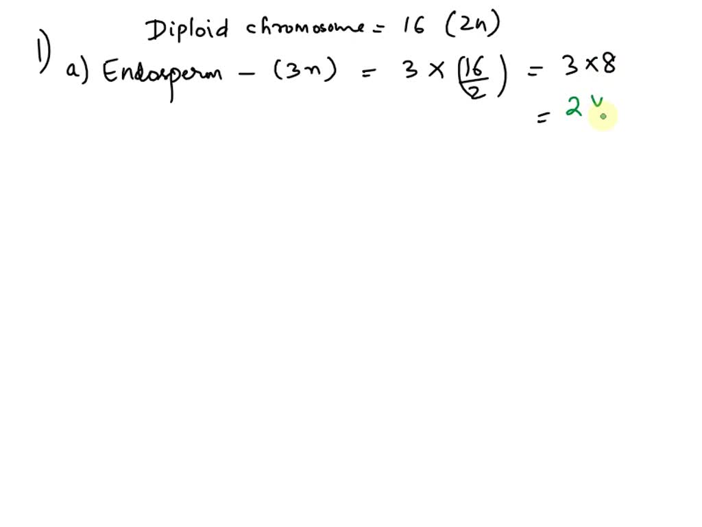 SOLVED A gymnosperm leaf carries 16 chromosomes. What is the number of