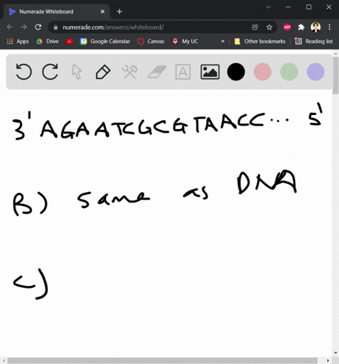 when-finished-sequencing-a-dna-segment-you-come-across-the-new-sequence-below-5-tcttagcgcattggacatgtaaggcacgt-3-a-identify-the-complementary-sequence-b-if-this-is-the-beginning-of-a-gene-whi-52432